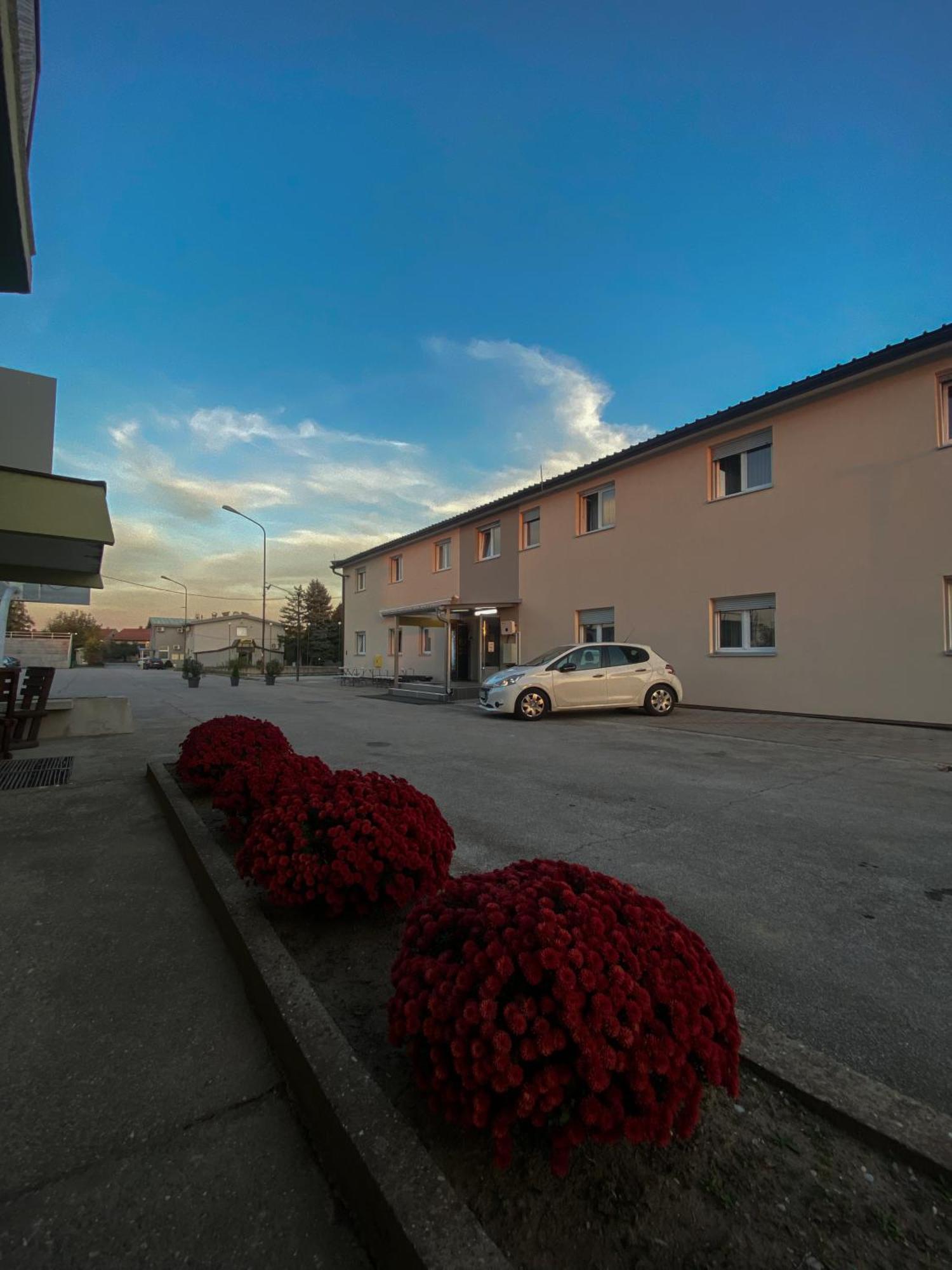 Vila Safir Loznica Exteriör bild
